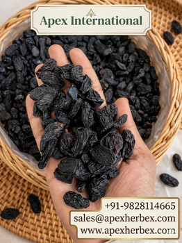 Black Raisins, Black Raisins bulk supplier from India Color Black Texture Soft Shelf Life 2 Years Fat 0.5 G Per 100 G Place of Origin India - APEX INTERNATIONAL - India