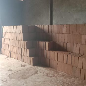 Coco peat Blocks - Siri Overseas Services - India