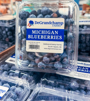 Vibrant Deep Blue Color Fresh Blueberries | Michigan Blueberries | 551ml Retail Packs On Sale - Sosa Merchant Solutions - Austria