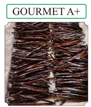 Planifolia Vanilla Weight 3-5 Gram Length 16-22 Cm Seed Content Full Skin Texture Smooth Water Content 30-35% Color Evenly Blackish - Java Vanilla - Indonesia