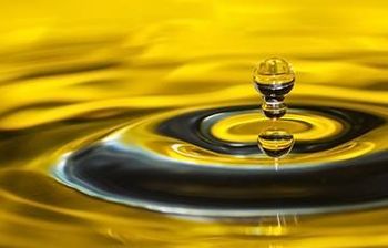 Sunflower Oil - Ion Bors - Romania