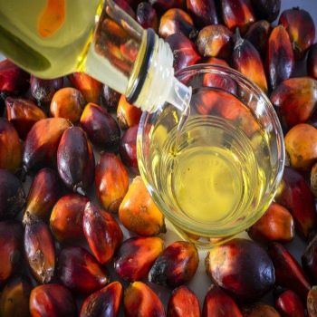 Wholesale Supply Factory Price Refined Palm Oil Daily Food Cooking Palm Oil from AK.BOLO MEDIK LTD Wholesale Supply Factory Price Refined Palm Oil Daily Food Cooking Palm Oil - AK.BOLO MEDIK LTD - Thailand