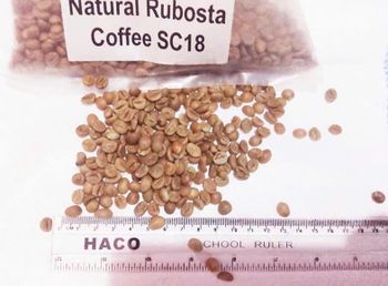 Premium Uganda-Origin Products – Bulk Supply | International Trade – product photo, Recommend Fallback