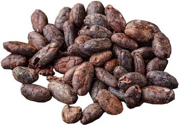 High Quality Cocoa Beans Chocolate Beans Best Quality Wholesale Cocoa Bean for Sale in Cheap Price from AL JABLI TRADING COMPANY LIMITED High Quality Cocoa Beans Chocolate Beans Best Quality Wholesale Cocoa Bean for Sale in Cheap Price – product photo, Raw Cocoa Bean products found from trusted suppliers, wholesalers, manufacturers & exporters Listing