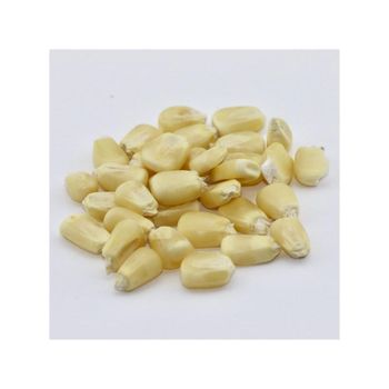 Bulk supply of white corn for food processors and distributors - HIGHPROFILE AGRICULTURE SERVICES LIMITED - Tanzania