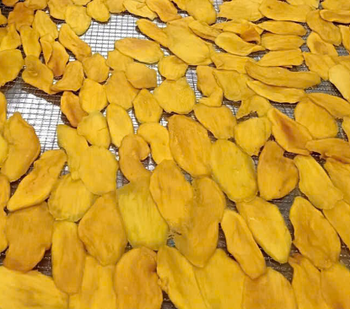 Dried Manago from VNKO Dried Manago – product photo, Dried Sea Mango products found from trusted suppliers, wholesalers, manufacturers & exporters Listing