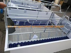 Animal Husbandry Machinery and Equipment Farm Fence Pig Birthing Pen - Qingdao Kemiwo Industrial Technology Co., Ltd. - China