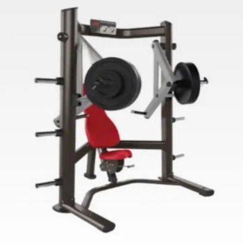 Compact Ergonomic Chest Press Machine for Effective Strength Training Sessions - Guangdong Five Star Health Industry Co., Ltd. - China