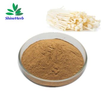 Bulk Supply Natural Mushroom Flammulina Velutipes Extract Enoki Organic Extract - Shaanxi Shineherb Biotech Co., Ltd. - China
