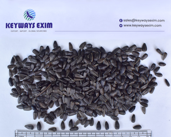 BLACK SUNFLOWER SEED – product photo, Black Seed Shampoo products found from trusted suppliers, wholesalers, manufacturers & exporters Listing