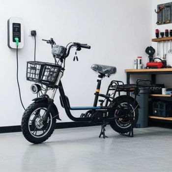 1000W Electric Cargo Bike 48V60V Brushless 16" 70-80Nm 3Speed CE ISO 1Y - Linyi Lansheng New Energy Electric Vehicle Co., Ltd - China