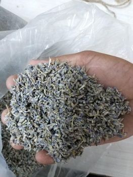 Dried Lavender Grade FOOD Packaging HDPE BAGS Max. Moisture (%) 8% Shelf Life 24 MONTHS Place of Origin INDIA Storage Type COLD STORAGE - ADEPT IMPEX PVT LTD - India
