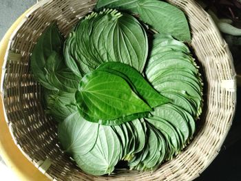 fresh betel leaves - Siva Agro Goods - India