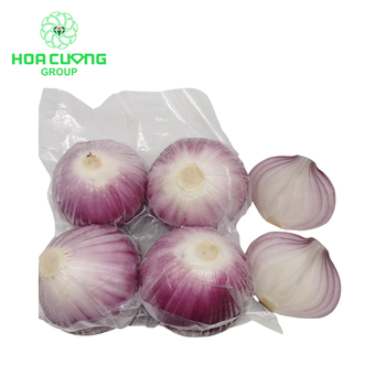 Frozen Peeled Purple Onion Place of Origin Viet - HOA CUONG AGRICULTURAL JSC  - Vietnam