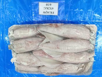 Frozen Squid Loligo - International Marine Foods - India