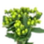 Product – product photo, Fresh Cut Pears products found from trusted suppliers, wholesalers, manufacturers & exporters Listing