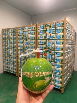 Diamond Coconut - Havigo - Vietnam