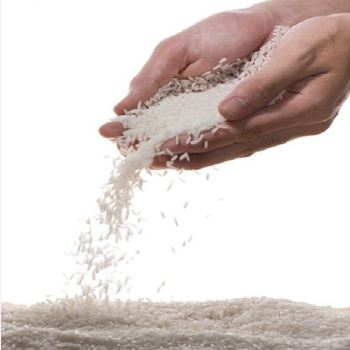 Jasmine Rice 10kg 25kg 50kg Premium Thai Fragrant Rice Long Grain Fresh Crop Natural Aroma Soft Cooking Texture Ideal For Kitchen Restaurant And Food Service Buy Today Premium Quality Wholesale - wood traders - Poland