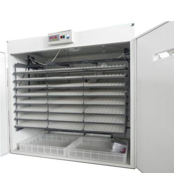 4224 chicken,Poutry,duck eggs incubator/hatcher - YUTIAN FUTAI INTERNATIONAL TRADE CO., LTD. - China
