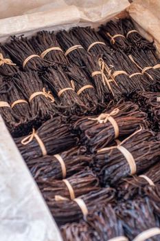 Vanilla bean planifolia - Nusantara Bourbon Vanilla - Indonesia