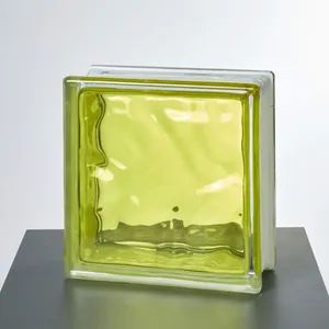 Whole Sales Clear Glass Hollow Colored Square Glass Brick - Foshan Jts Building Materials Co., Ltd. - China
