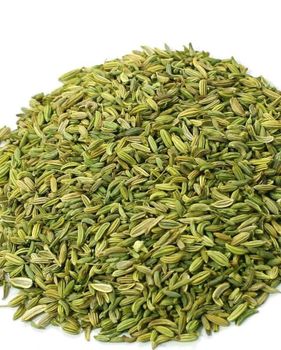 Dried Egyptian Fennel Seeds - Major Herbs for Export - Egypt