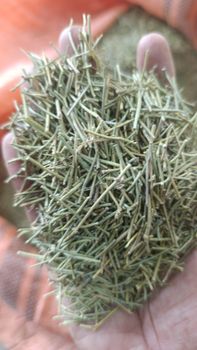 Ephedra Herb (Dried) – Cut Size 5–25 mm - Rahmani Traders - Pakistan