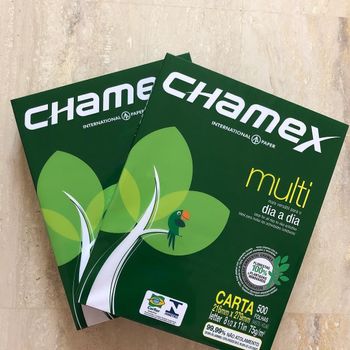 Best Quality 500 Sheets Ream 70gsm 80gsm A4 Copy Paper with Good Price - CHHC AGR0-CHEMICAL PRODUCTS WHOLESALING - Philippines