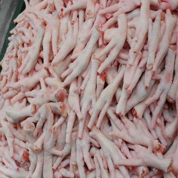 Frozen Chicken Paws Premium Quality IQF Freezing Process Cutting Ready Cook Vacuum Pack 25kg Fast Delivery Chefs Home - CPW TRADE LTD - United Kingdom