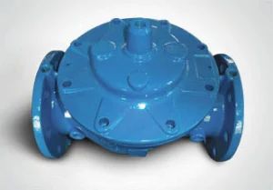 Valve Parts Check Valve Body - Chengdu Zhijin Machinery Equipment Co., Ltd. - China