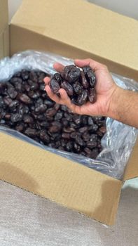 Omani Fard Dried Dates, Grade C, 2025 Season from Forsah for Business & Investment LLC Omani Fard Dried Dates, Grade C, 2025 Season - Forsah for Business & Investment LLC - Oman