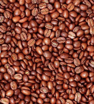 Green Arabica Coffee Beans / Coffee Beans For Sale / Ethiopian Arabica Coffee Beans/ Bob-Bob Coffee for sale - Almaa SCS - Belgium
