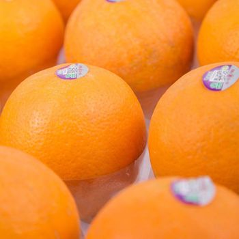 Fresh Citrus Fruits Delicious and Sweet Fresh Navel Oranges Valencia Orange for orange juice - Zigui County Qugu Food Co., Ltd. - China