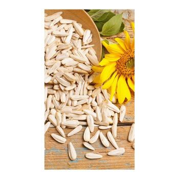 Discount price Sunflower Seeds wholesale bulk supply fresh roasted seeds from AMAC GOLD AND DIAMOND METALS SUPPLIER Discount price Sunflower Seeds wholesale bulk supply fresh roasted seeds - AMAC GOLD AND DIAMOND METALS SUPPLIER - Germany