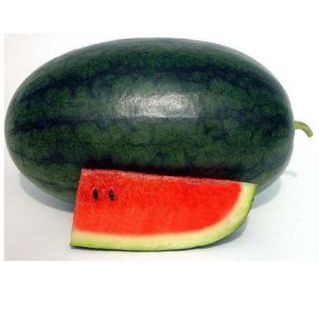 Watermelon – Kiran Variety (India) Texture Firm And Juicy Shape Uniform Round To Oval Size Range 2 Kg To 6 Kg Per Fruit Season December To May (may Vary By Region) - AGROCARTE EXIM ENTERPRISES PVT LTD - India