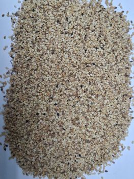 Sesame Seed - Global Gums and Chemicals (Pvt) Limited - Pakistan