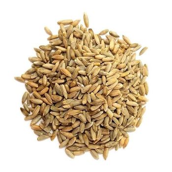 High Quality Organic Rye Grains Available For Sale At Low Price  -  CALIPSO POLSKA SP Z OO  - Poland