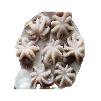 High quality frozen baby octopus whole available for bulk buyers with fast dispatch - BMU TRADING GMBH - Germany