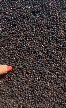 Black Pepper GL550 from Sales Black Pepper GL550 – product photo, Dehydrated Black Pepper products found from trusted suppliers, wholesalers, manufacturers & exporters Listing