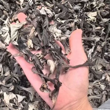 Wholesale Black Trumpet, Trumpet of Death, Trombetta Mushroom Supplier - Ruiqiu Foods Co., Ltd. - China
