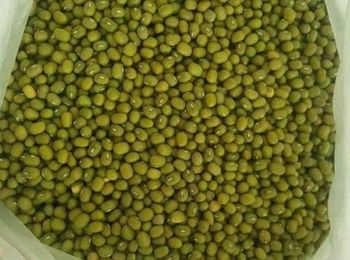 Green Mung Beans for sale, Green Moong Whole (Mung Beans) | Moong Green Gram Bulk – 4 LB Bag for Soups, Salads, Curries, Sprouting, and Cooking - HELBER AGRO PRODUCT COMPANY LTD - Kenya
