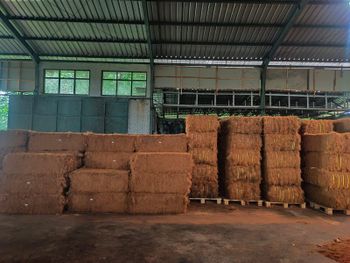 Coco Fiber Width Up to 80 cm Ph Range 5.5 - 6.5 Grade Export Quality Length > 80 cm to 120 cm Origin Jakarta, Indonesia Moisture Content 12% - 30% - PT. Daleo Trans Global - Indonesia