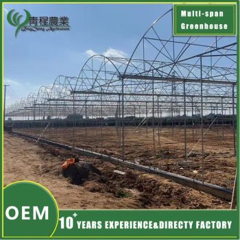 Premium Galvanized Steel Rectangular Profiles for Greenhouse Structures - Chongqing Qing Cheng Agricultural Science and Technology Co., Ltd. - China