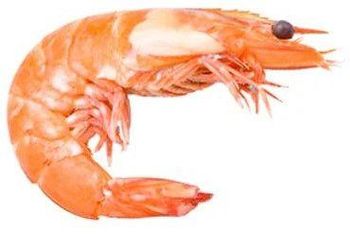 FROZEN COOKED SALAD SHRIMP Packaging 800G Shelf Life 2 YEARS Pricing Options Nwnc, Nwfc, Fwnc, Fwfc Freezing Method Blast, Block, Semi Iqf, Iqf - Netfish India - India