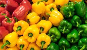 Fresh Capsicum Grade A Type Herb Texture Crisp Size 6–9 Cm Diameter Shelf Life 2–3 Weeks Weight 100–250g Per Piece Storage Temperature 8–12°c - TRADE NEPAL LLC - United States
