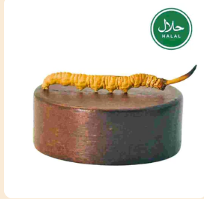 Cordyceps Sinensis Weight 10g Origin Tibetan Nagqu Form Cordyceps Sinensis Packaging 2pcs/g, - 广州万宙商贸有限公司 - China