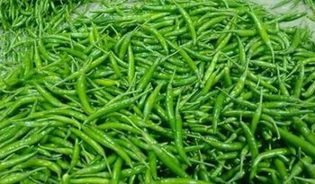 Green chili – product photo, Chili products found from trusted suppliers, wholesalers, manufacturers & exporters Listing