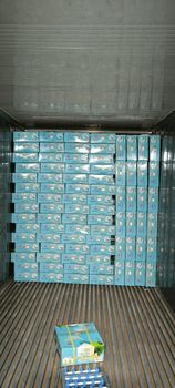Coconut Size 700g Up Brix Level >7_9 Storage Temperature +2-5°c Container Load 40fcl (2298 Cartons) Packaging Quantity 9 Fruits Per - Ngoc Tra Fresh Fruit - Vietnam