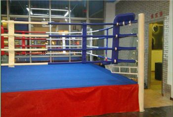 High Quality 6X6 Factory Price Custom Design Wholesale Adult Floor Boxing Ring - Shenzhen LDK Industrial Co., Ltd. - China