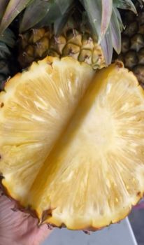 Fresh Pineapple Degree of Processing Whole Degree Of Maturity Pre-Ripened - PT Dethala Agro Indonesia - Indonesia